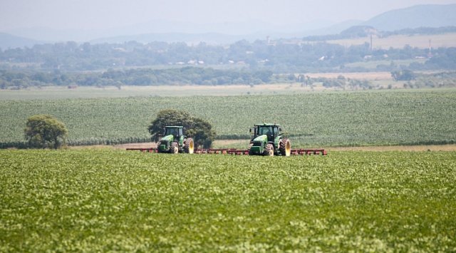 Since the beginning of the year more than 100 Far Eastern hectares have been given out in Primorye