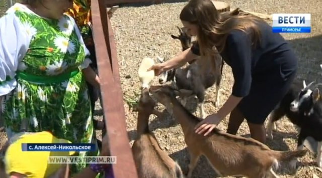 Goat cheeses - eco farm in Alekseii-Nikolskoe village is ready to receive tourists