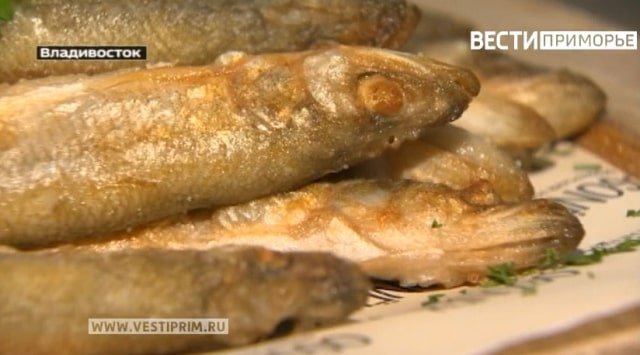 Vladivostok’s smelt festival