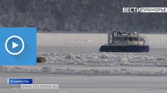Newborn seals are severely endangered because of tourists Newborn seals are severely endangered because of tourists