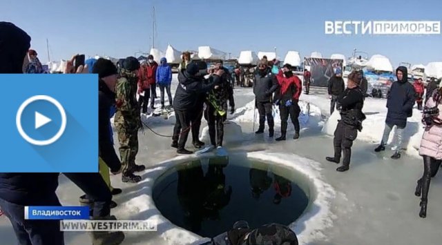 International under-ice orientation championship was held in Vladivostok International under-ice orientation championship was held in Vladivostok