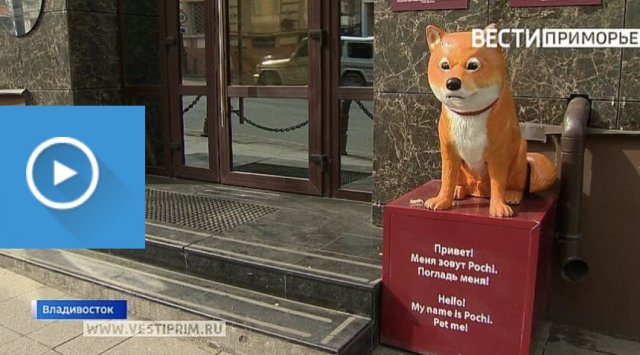 Hachiko is back: the monument has been reinstalled in Vladivostok Hachiko is back: the monument has been reinstalled in Vladivostok