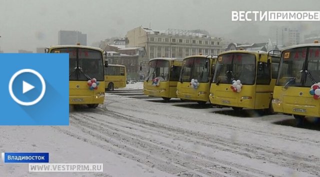New school buses to be delivered to different departments of the region New school buses to be delivered to different departments of the region