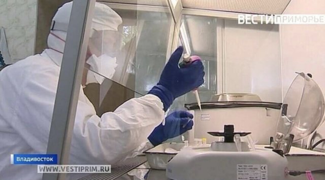Russia’s patient zero has been found Russia’s patient zero has been found
