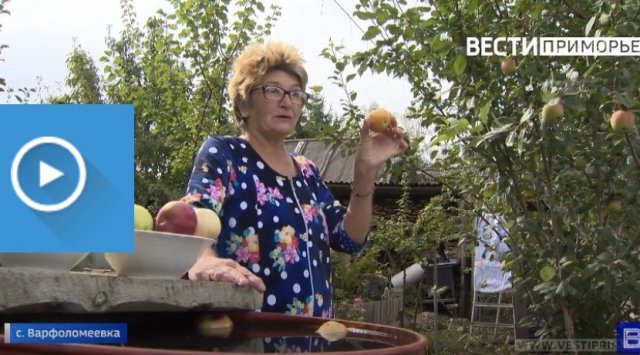 Varfolomeevka’s unique apple tree garden Varfolomeevka’s unique apple tree garden