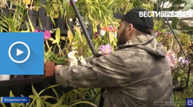 Scientists from the Botanic garden create tropical beauty