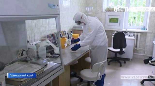 New coronavirus statistics in Primorye