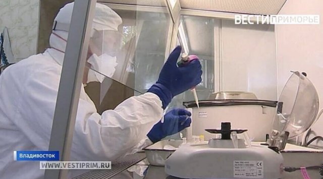 The number of positive coronavirus cases continues to grow in Primorye